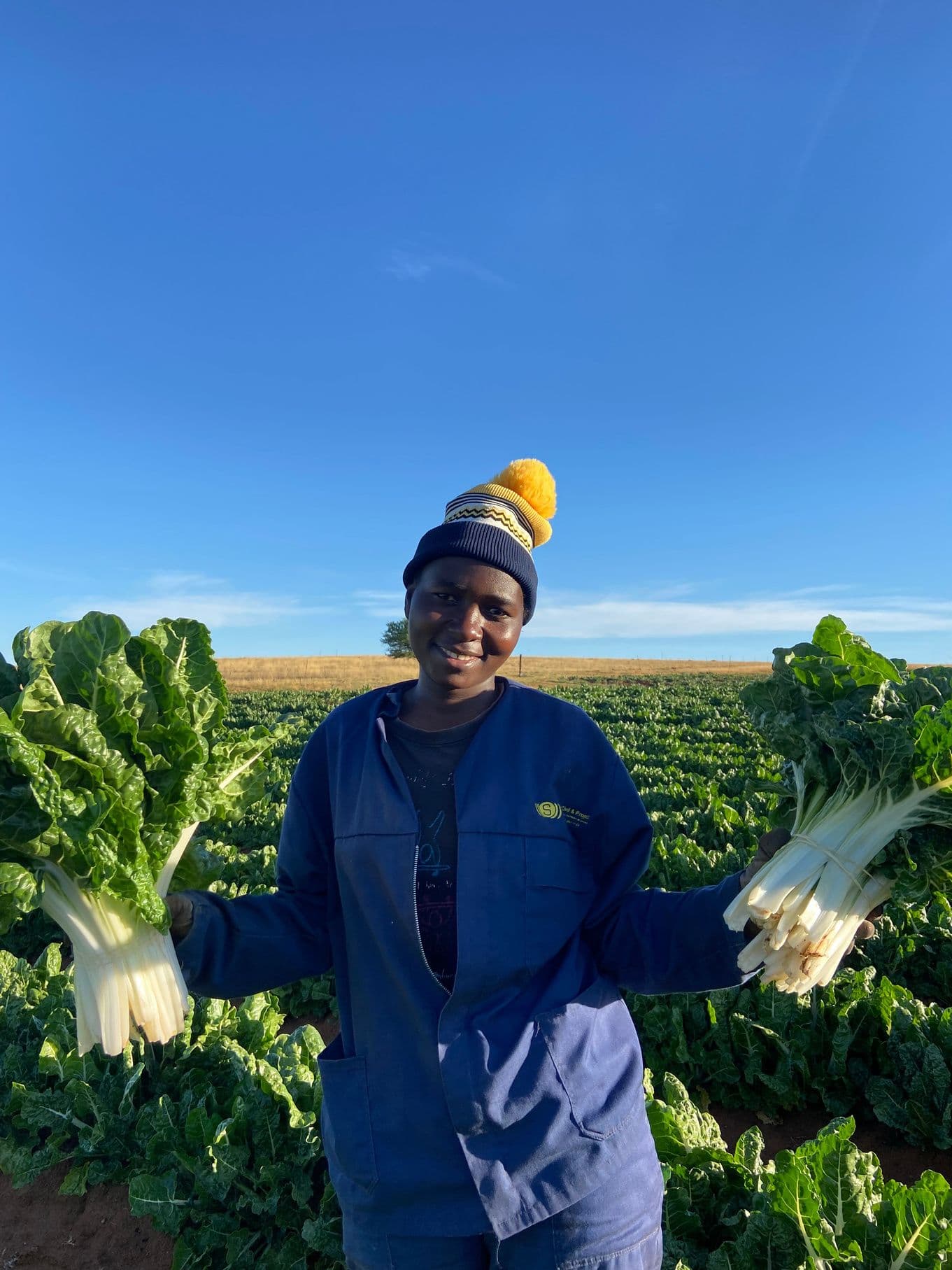 The Business Case for Sustainable Agriculture in South Africa